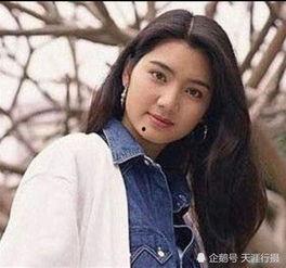 洪欣照片壁纸,美丽瞬间，永恒珍藏  第3张