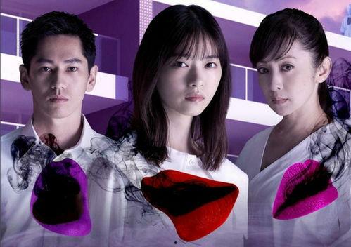 日剧资料,穿越时空的情感之旅