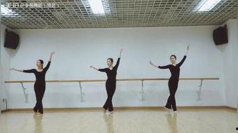 搞笑天鹅舞,萌态百出,欢乐无限 第3张 搞笑天鹅舞,萌态百出,欢乐无限 第3张