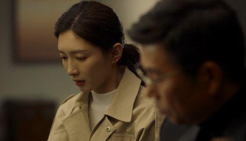 双谍王演员,巅峰对决,暗战风云再起 第2张 双谍王演员,巅峰对决,暗战风云再起 第2张