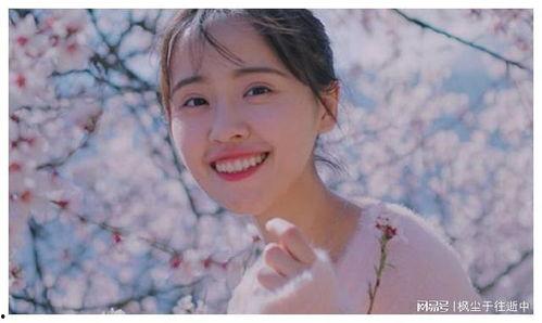 松本妃代资料,日本流行音乐界的璀璨星辰