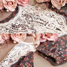 安蕾丝照片,镜头下的优雅与魅力  第2张