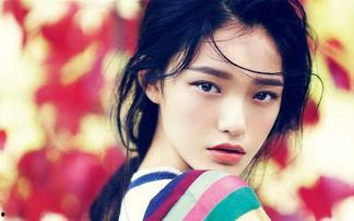 明星人气棑  第2张