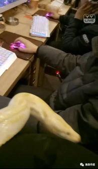 yy辽宁大胸女主播,性感魅力，网络红人崛起之路  第1张