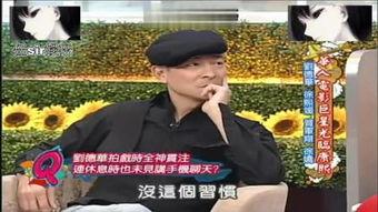 sl是哪个明星,闪耀舞台上的璀璨明星  第2张